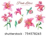 Pink Lilies.floral Set...