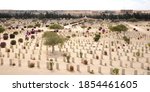 War cemetery at El Alamein, Egypt