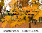 autumn leaves. yellow. blur... | Shutterstock . vector #1880713528