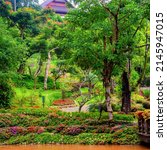 Mae Fah Luang Flower Garden In...