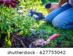 Ground level view of woman planting flowers in sunlight