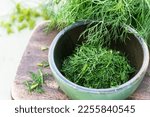 Just harvested cut fresh dills in bowl on brown cutting board on wooden table in summertime, cut dill leaves for flavouring food, flavouring herb concept