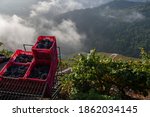 Small photo of To save the steep slopes of the Ribeira Sacra vineyards, the winemakers have devised a curious system of lifts on rails to transport the grapes