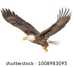 Bald Eagle Flying Hand Draw And ...
