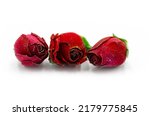 Dried Red Rose Bud Isolated On...