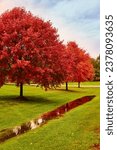 Small photo of Red Maple leafs. Red trees. Autumn leaves. Nature. Landscape. Suburbs. Fall. Orange colorful falling leaves. Crip fall. Calm photo. beautiful background.