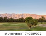 Palm trees at sunset in Furnace Creek Death Valley