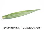 Corn Or Maize Leaf Isolated On...