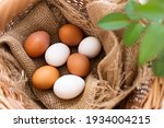 Raw Fresh Chicken Eggs In The...