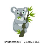 Koala Bear On Wood Branch With...
