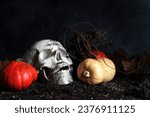 Skull and pumpkins on the...