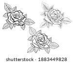 vector eps file of a blooming... | Shutterstock .eps vector #1883449828