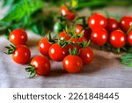 Cherry Tomato on branch, small tomatoes, Bunch of fresh red tomatoes, Selective Focus.