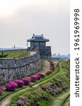 Azaleas and spring scenery of Suwon Hwaseong Fortress in Suwon-si, Gyeonggi-do, Korea.
