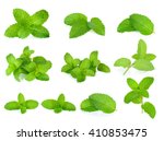 Set Fresh Mint Isolated On The...