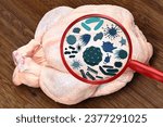 Small photo of Magnifying lens with simulated germs, viruses, bacteria, food allergy concept. Raw chicken turkey partridge, hen broiler carcass isolated on white background. Meat Chicken body