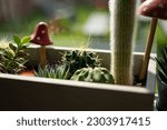 Vacti succulents aloe in pots ceramic cement boxes on sill of kitchen window overlooking backyard with grass wooden fence picnic tables fake wood clay toadstools mushrooms bunny torch cactus