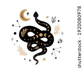 Mystic animal, moon floral serpent, celestial snake, mystical moon, stars isolated. Black gold colors. Floral snake Rustic serpent, flowers, leaves, moon. Halloween boho element. Vector illustration.