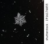 Winter snowflakes magnified....