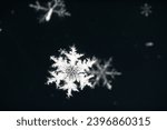 snowflakes close up on a dark background