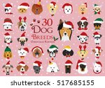 Set Of 30 Dog Breeds With...
