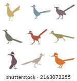 Collection Of Roadrunner Birds...