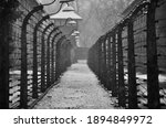 Small photo of Auschwitz Concentration Camp, Poland, Black and White