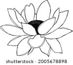 botanical floristic contour... | Shutterstock .eps vector #2005678898