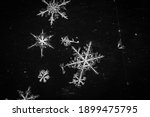 Macro Photography of indivdual Snowflakes 