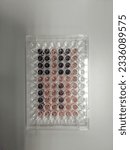 Small photo of The colors result of cell cytotoxicity (cell viability) analysis in 96 well plate