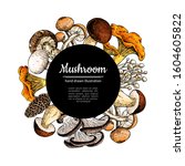mushroom hand drawn vector... | Shutterstock .eps vector #1604605822