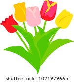 Various Tulip Bouquets