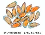 Raw Large Mussels Isolated On...