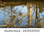 Sunny day in the late winter. Partly broken twigs in the river Dyje, reflecting a tower - minaret in a park. Lednice, Podivin, Morava, Czechia.