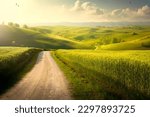 Beautiful summer mountain rural landscape; Panorama of summer green field with dirt road and Sunset cloudy sky.