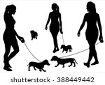 Dog Walking Free Stock Photo - Public Domain Pictures