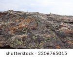 Small photo of Moss and lichen on rock and stone surface in Rychlebske hory mountains in the Czech Republic. Lichen is indicator of pollution and contamination in the air. Especially NOx and SOx emissions from power