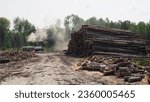 Small photo of KhMAO (Khanty-Nabsiysk Autonomous Okrug)-Yugra, Russia, 08-22-2019: logging, storage area for logs cut in the forest