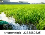 Small photo of Pumping water from the ground with a diesel engine or petrol gasoline engine so that the water can rise to the top to irrigate agricultural rice fields. Pump, pumping, pumped water for irrigation.
