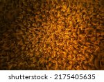 dark orange vector low poly... | Shutterstock .eps vector #2175405635