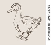 Duck Hand Draw Sketch  Vector