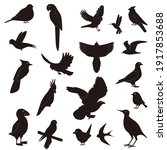 silhouettes birds flight... | Shutterstock . vector #1917853688