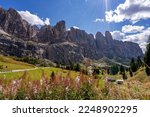 Sunbeams shine over the impressive steep rocks of the Dolomites. In the foreground are colorful flowers in the roadside. Mountain pass, Sella pass, dolomites Italy.