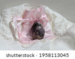 Violet and black rhodonite on a pink silk textile bag and lace and silk background