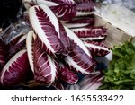 Small photo of Radicchio rosso di Treviso, commonly known as Treviso has elongated, variegated red leaves that taste more delicate and less bitter than the more familiar ball-shaped Radicchio rosso di Chioggia