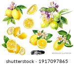 Lemons Big Set Composition...