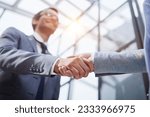 Small photo of Delighted businessmen shaking hands, greeting acquaintance in the office