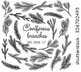 Vector Pine Tree Branches Set...