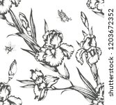 vintage flowers irises.... | Shutterstock .eps vector #1203672352
