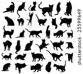 big collection of cat... | Shutterstock .eps vector #25599649